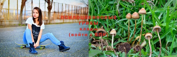 СК Покачи