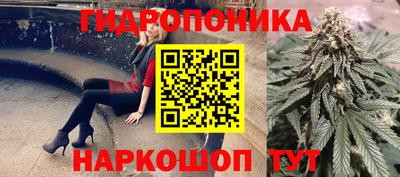 a pvp Пушкино