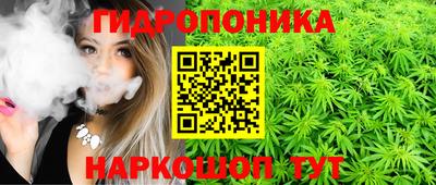 a pvp Пушкино