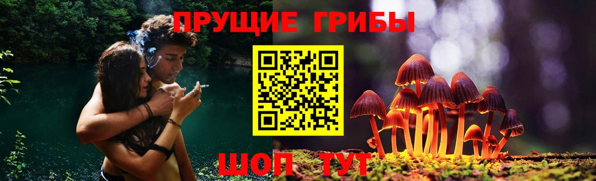 Галлюциногенные грибы мухоморы Саратов