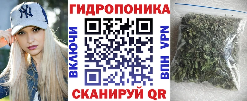Шишки марихуана Bruce Banner  дарнет шоп  Саратов 
