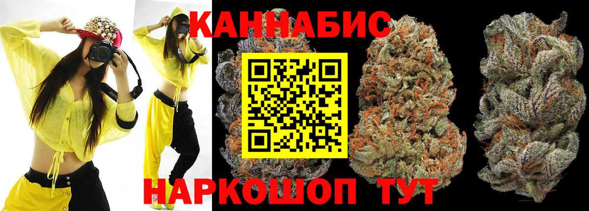 Марихуана гибрид Саратов